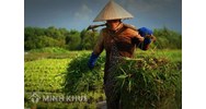 Thủ tục từ con đẻ thực hiện như thế nào? Cha mẹ có quyền từ con?