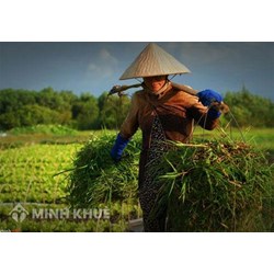 Thủ tục từ con đẻ thực hiện như thế nào ?