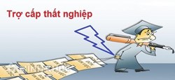 Wie lange dauert es ab Antragstellung auf Arbeitslosenversicherung, bis Sie Arbeitslosengeld erhalten?