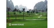 Thủ tục chuyển đất trồng lúa sang đất trồng cây lâu năm thế nào?