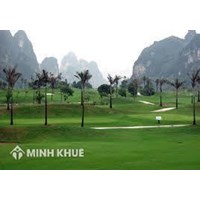 Thủ tục chuyển đất trồng lúa sang đất trồng cây lâu năm thế nào?