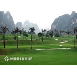 Thủ tục chuyển đất trồng lúa sang đất trồng cây lâu năm thế nào?