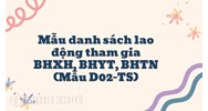 Mẫu danh sách lao động tham gia BHXH, BHYT, BHTN (Mẫu D02-TS)