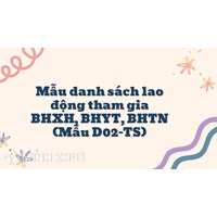 Mẫu danh sách lao động tham gia BHXH, BHYT, BHTN (Mẫu D02-TS)
