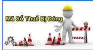 Doanh nghiệp khi nào bị đóng mã số thuế? Cách khắc phục thế nào?