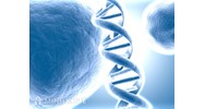 Làm giả giấy tờ xét nghiệm ADN xử lý như thế nào? 