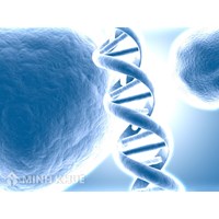 Làm giả giấy tờ xét nghiệm ADN xử lý như thế nào? 