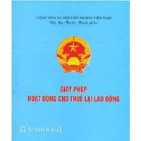 Trình tự, thủ tục đề nghị cấp giấy phép hoạt động cho thuê lại lao động