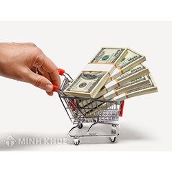 Vay nóng nhưng không có khả năng trả có bị truy tố không ạ ?
