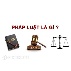 Luật sư chỉ dẫn áp dụng các trường hợp không phải chịu trách nhiệm bồi thường thiệt hại ?