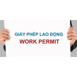 Các trường hợp người nước ngoài làm việc tại Việt Nam không cần giấy phép lao động 