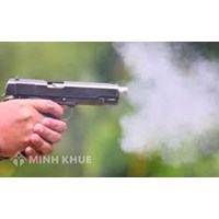 Phân tích dấu hiệu, động cơ, mức phạt của tội giết người theo luật hình sự ?