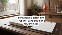 Đảng viên dự bị làm đơn rút khỏi Đảng quy định như thế nào?