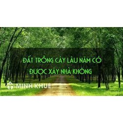 Mức phạt khi xây nhà trên đất nông nghiệp là bao nhiêu tiền?