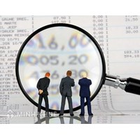 Công ty trả lương cho trưởng Ban kiểm soát bằng hình thức nào ? 