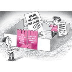 Nhà nước có các quyền gì đối với đất đai? Quản lý nhà nước về đất đai như thế nào?