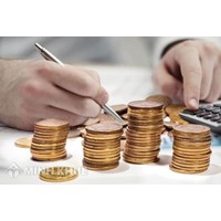Công ty TNHH một thành viên không góp đủ vốn sẽ bị phạt thế nào?