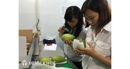 Bảng mã HS và danh mục vật thể phải kiểm dịch thực vật khi nhập khẩu