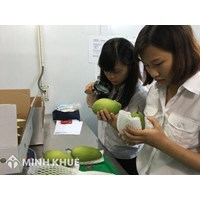 Bảng mã HS và danh mục vật thể phải kiểm dịch thực vật khi nhập khẩu