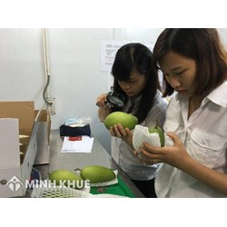 Bảng mã HS và danh mục vật thể phải kiểm dịch thực vật khi nhập khẩu