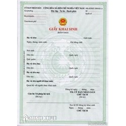 Trích lục giấy khai sinh thực hiện ở đâu? Làm lại giấy khai sinh?