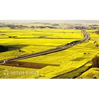 Đất nông nghiệp hết thời hạn sử dụng phải làm thế nào?