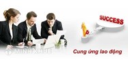 Doanh nghiệp có giấy phép cung ứng nguồn lao động thì chi nhánh có được ký hợp đồng hợp tác với đối tác về vấn đề này không ?