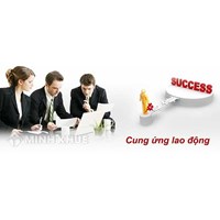 Doanh nghiệp có giấy phép cung ứng nguồn lao động thì chi nhánh có được ký hợp đồng hợp tác với đối tác về vấn đề này không ?
