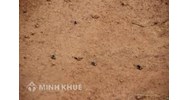 Khi mua đất cần lưu ý những vấn đề gì ? Đặt cọc tiền mua đất có giá trị pháp lý như thế nào ?