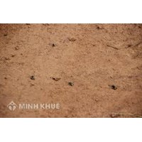 Khi mua đất cần lưu ý những vấn đề gì ? Đặt cọc tiền mua đất có giá trị pháp lý như thế nào ?
