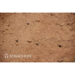 Khi mua đất cần lưu ý những vấn đề gì ? Đặt cọc tiền mua đất có giá trị pháp lý như thế nào ?