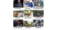Không có việc làm hoặc thu nhập thấp thì có nên học thạc sỹ hay đi du học... Sai lầm phổ biến của người mới đi làm ?