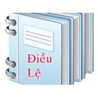 Nội dung điều lệ công ty cổ phần thế nào là hợp pháp ?