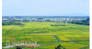 Thủ tục chuyển đổi đất nông nghiệp sang đất sản xuất kinh doanh?