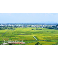 Thủ tục chuyển đổi đất nông nghiệp sang đất sản xuất kinh doanh?