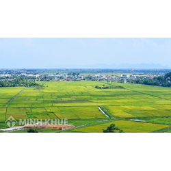 Thủ tục chuyển đổi đất nông nghiệp sang đất sản xuất kinh doanh?