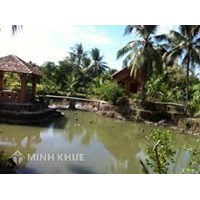 Có được phép xây dựng bể bơi trên đất ao không