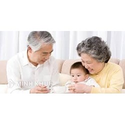 Giải quyết chế độ cho người đóng BHXH đủ 20 năm nhưng chưa đủ tuổi về hưu ?
