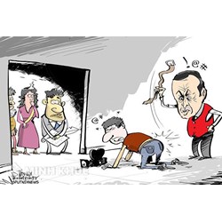 Đồng phạm là gì ? Tôi có phải là đồng phạm hay không ?