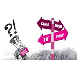 Giám định tỷ lệ thương tật khi bị tai nạn giao thông thực hiện như thế nào ?