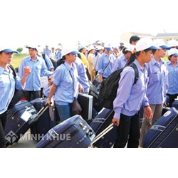 Về vấn đề đơn phương chấm dứt hợp đồng xuất khẩu lao động?