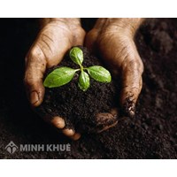 Nhận tiền cọc bán đất bằng tin nhắt điện thoại và ủy quyền bán đất?