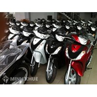 Mua nhầm xe giấy tờ giả thì có bị truy cứu trách nhiệm hình sự không vào năm 2020???