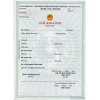 Có cấp lại giấy khai sinh bản chính nữa không ?