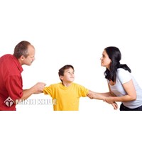 Tư vấn thủ tục ly hôn và quyền nuôi con sau ly hôn khi không thể sống chung với gia đình nhà chồng ?