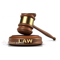 Người nước ngoài phạm tội trên lãnh thổ Việt Nam?