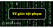 Công ty phạm pháp mà nhân viên không tố giác tội phạm đến công an thì bị xử lý ra sao?