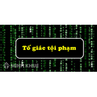 Công ty phạm pháp mà nhân viên không tố giác tội phạm đến công an thì bị xử lý ra sao?