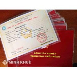Nơi sinh trên bằng tốt nghiệp không trùng với giấy khai sinh thì có cần sửa?