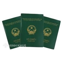 Nhập quốc tịch Việt Nam cho con có mẹ là người Việt Nam